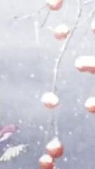 唯美雪景立冬节气视频的预览图
